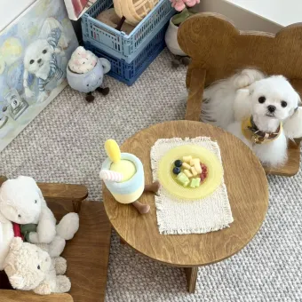 Vintage Round Pet Side Table and Mini Chair Set from a delivered production order