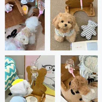 Bear Pet Water Bottle Stand from a delivered production order