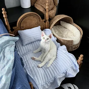 Anna Princess Vintage Pet Bed from a delivered production order