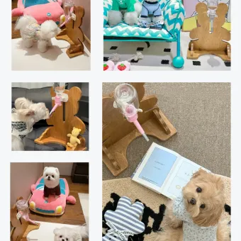 Bear Pet Water Bottle Stand from a delivered production order