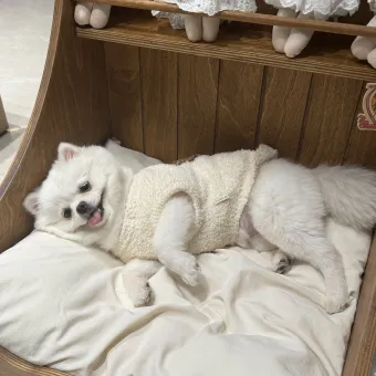 Nordic Vintage Solid Wood Pet Bed from a delivered production order