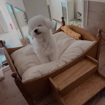 Original Retro Wooden Pet Bed with Stairs from a delivered production order