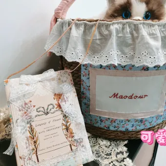 Bear Pet Storage Basket from a delivered production order