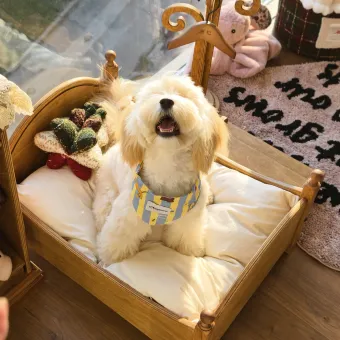 Original Retro Wooden Pet Bed with Stairs from a delivered production order