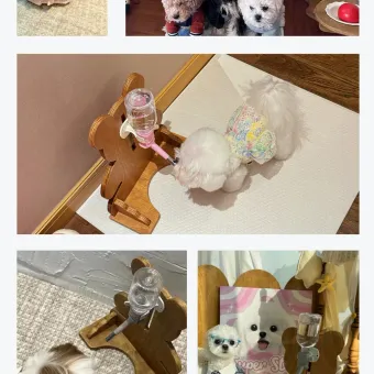 Bear Pet Water Bottle Stand from a delivered production order