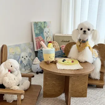 Vintage Round Pet Side Table and Mini Chair Set from a delivered production order