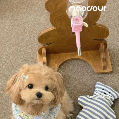 Bear Pet Water Bottle Stand — wooden pet furniture for OEM production