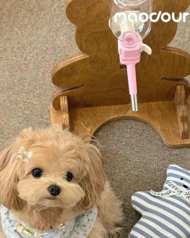 wooden pet feeder manufacturer - Bear Pet Water Bottle Stand, view 1