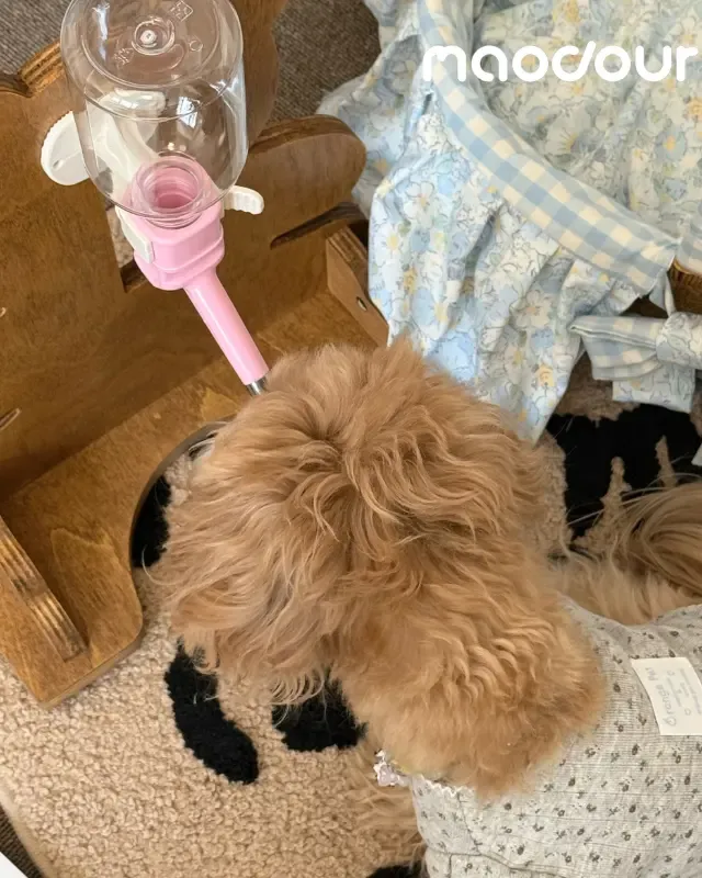 wooden pet feeder manufacturer - Bear Pet Water Bottle Stand, view 3