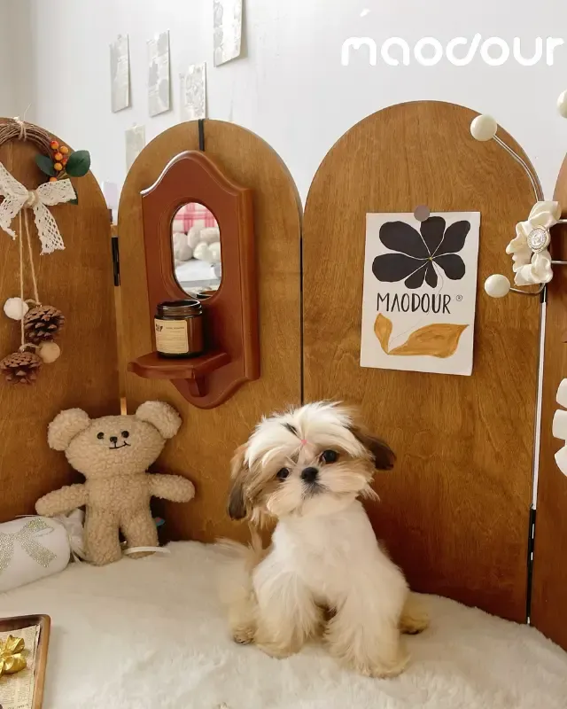 wooden pet screen divider manufacturer - Vintage Wooden Pet Screen Divider, view 4