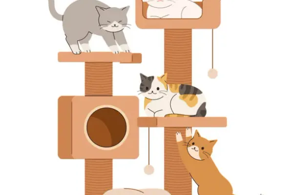 Layout sketch showing how a custom pet furniture design is fitted to a specific room envelope
