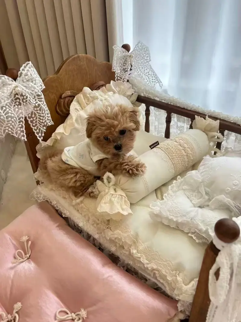 Small dog resting on a lace-trimmed vintage wooden pet bed