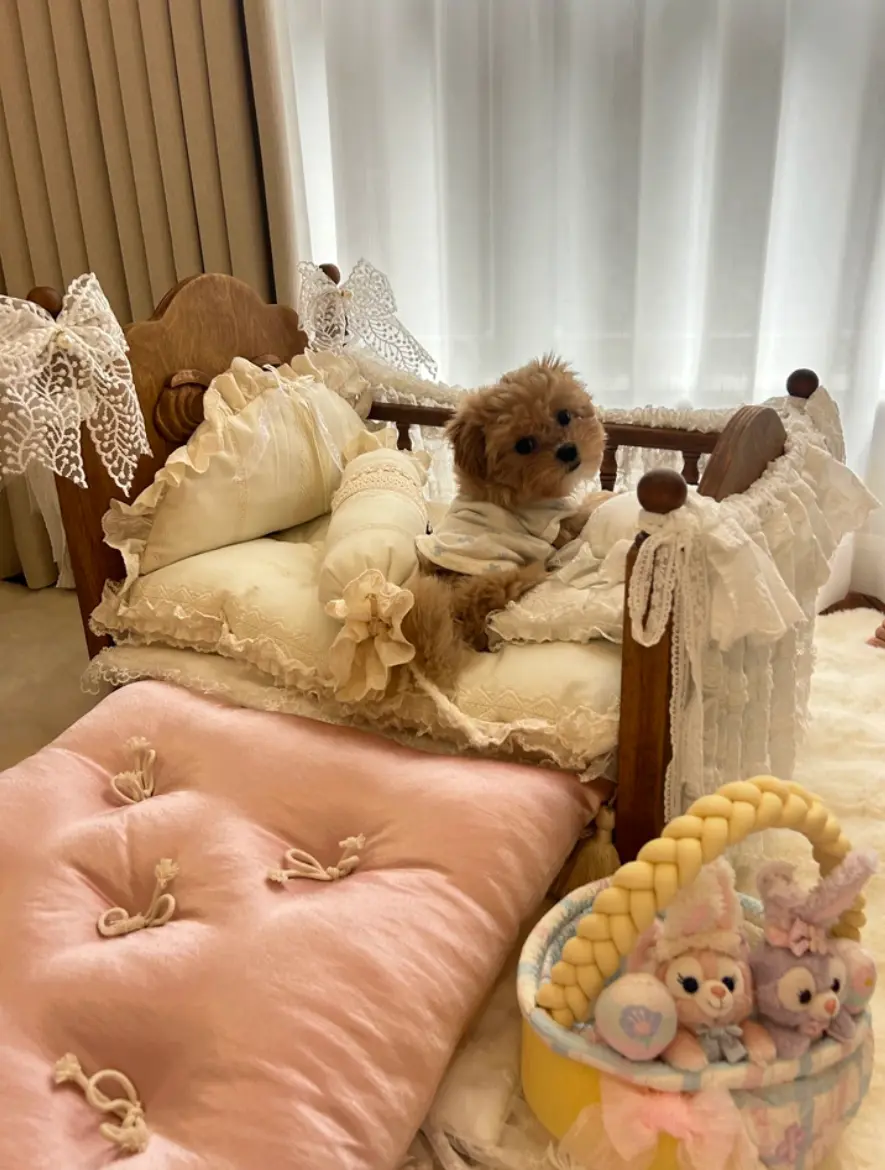 How to Choose a Dog Bed for Bedroom Spaces That Still Feel Designed